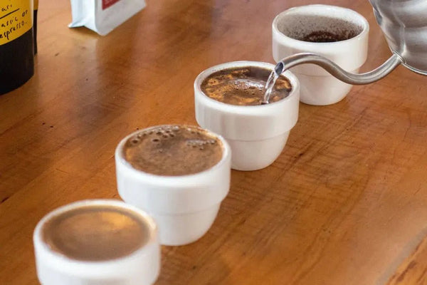 Cupping - Barista y Espresso
