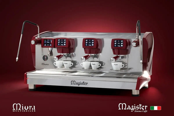 MAGISTER Sistema Caffe - Barista y Espresso