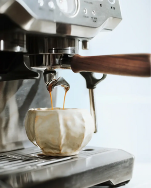 Portafilter para la Serie Sage Barista (54 mm) - Barista y Espresso